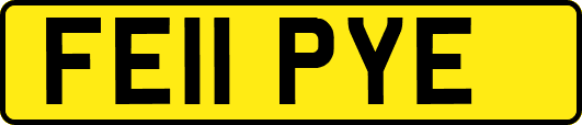 FE11PYE