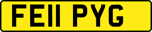 FE11PYG