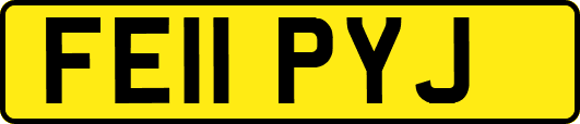 FE11PYJ