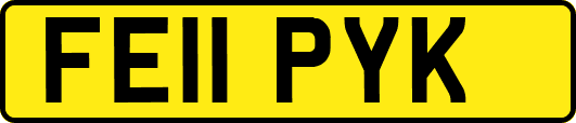 FE11PYK