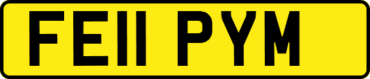 FE11PYM