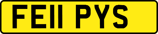 FE11PYS