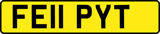 FE11PYT
