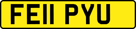 FE11PYU