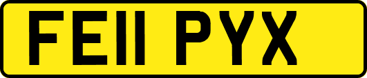 FE11PYX