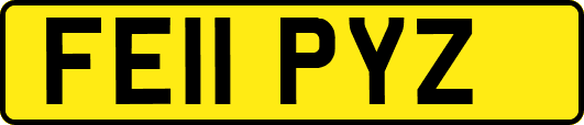 FE11PYZ