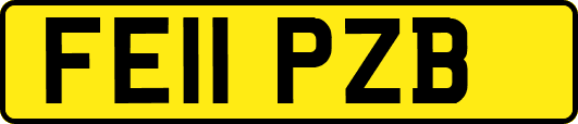 FE11PZB