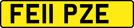 FE11PZE