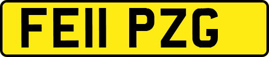 FE11PZG