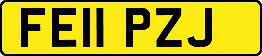 FE11PZJ
