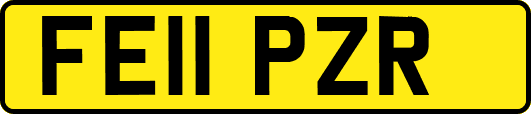 FE11PZR