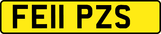 FE11PZS