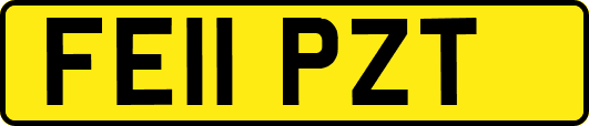 FE11PZT