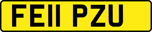 FE11PZU