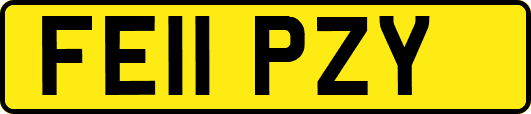 FE11PZY