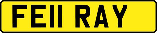 FE11RAY
