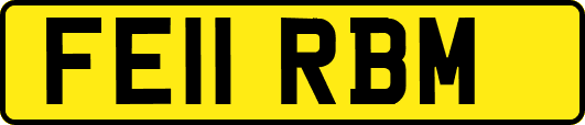 FE11RBM