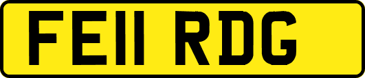 FE11RDG