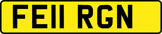 FE11RGN