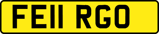 FE11RGO