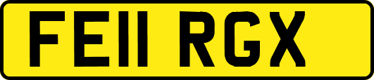 FE11RGX