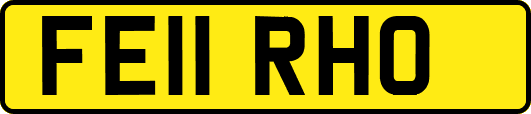 FE11RHO