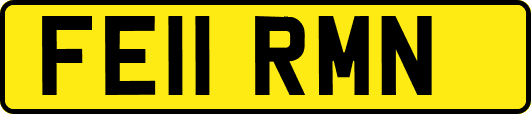 FE11RMN
