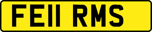 FE11RMS