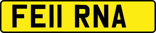 FE11RNA