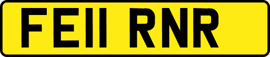 FE11RNR