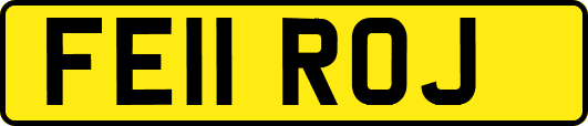 FE11ROJ