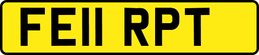 FE11RPT