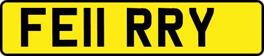 FE11RRY