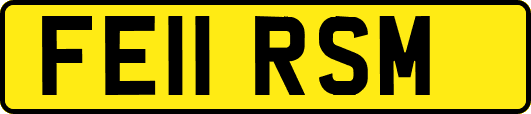 FE11RSM