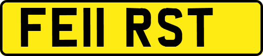 FE11RST