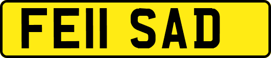 FE11SAD