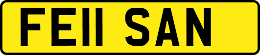 FE11SAN