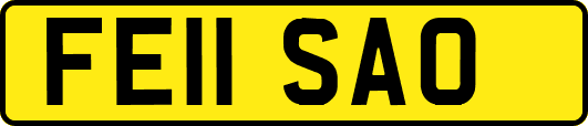 FE11SAO