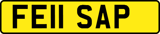 FE11SAP