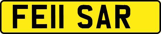 FE11SAR