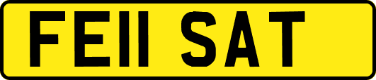 FE11SAT