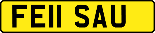 FE11SAU