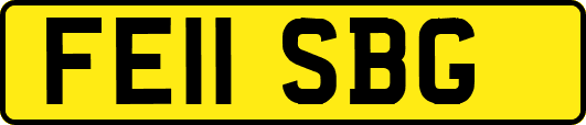 FE11SBG