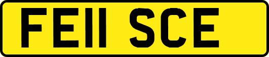 FE11SCE