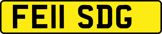 FE11SDG