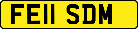 FE11SDM