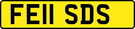 FE11SDS