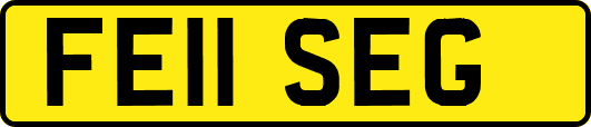 FE11SEG