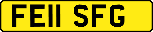 FE11SFG