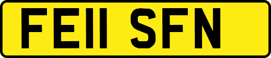 FE11SFN